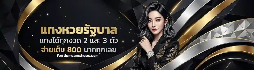 ตรวจ หวย ลาว lotto